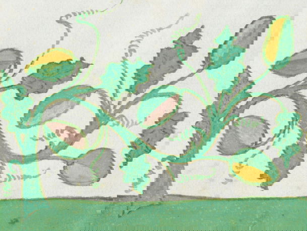 Decorative vine motif featuring curved green stems with oak leaves and oval pods, painted against a white background with yellow and pink accents.