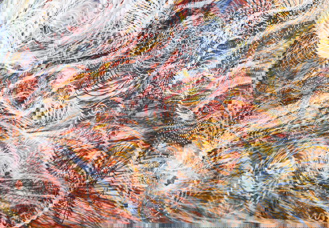 Swirling abstract patterns in white, red, and blue create a dynamic composition with spiral forms and dotted textures across the surface.